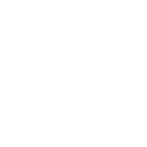 Ginocchio
